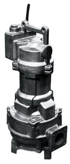 Pompe de relevage eaux claires en fonte EBARA - DSF - 42 m - 35 m³/h - 2" 1/2 (65 mm)